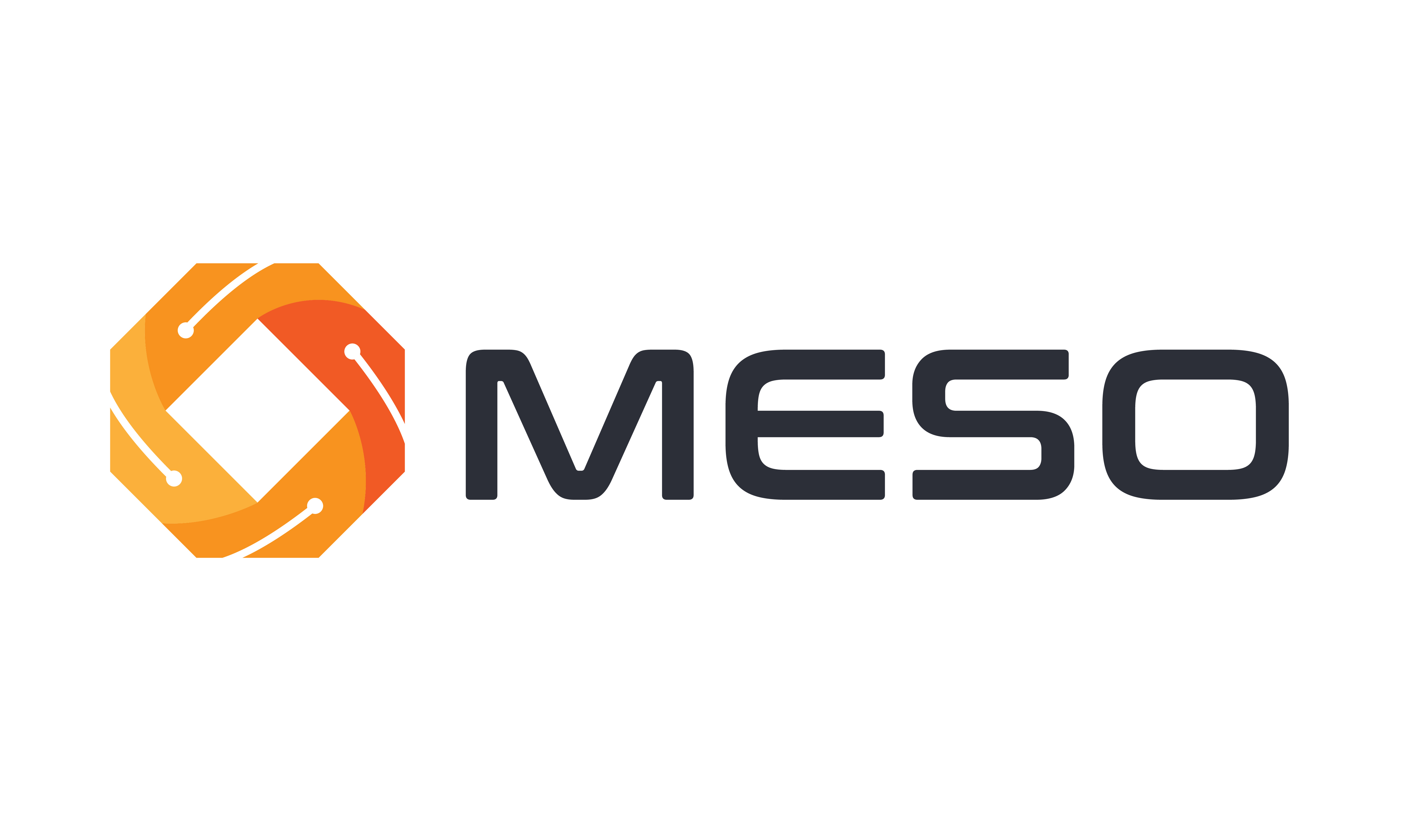 MESO logo